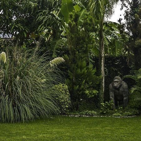 Casa Domingo Hotel Petit Miacatlán Esterno foto