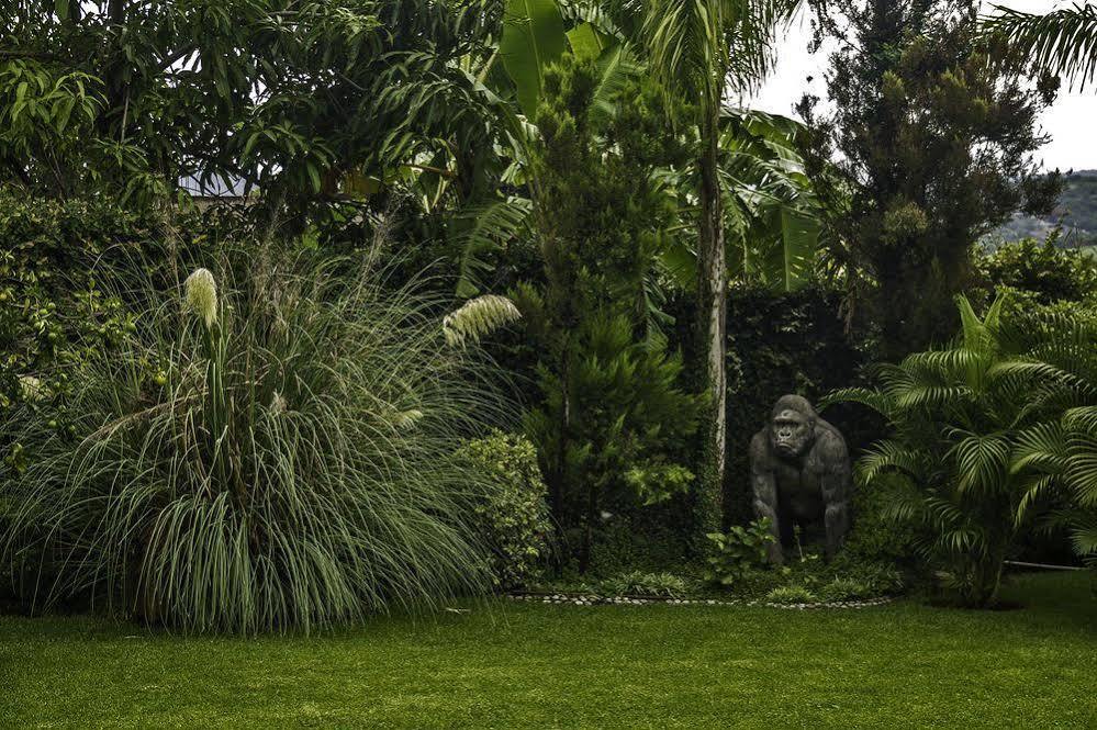Casa Domingo Hotel Petit Miacatlán Esterno foto